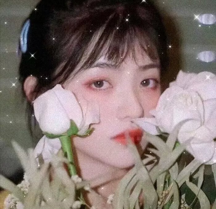 美国派3:美国婚礼