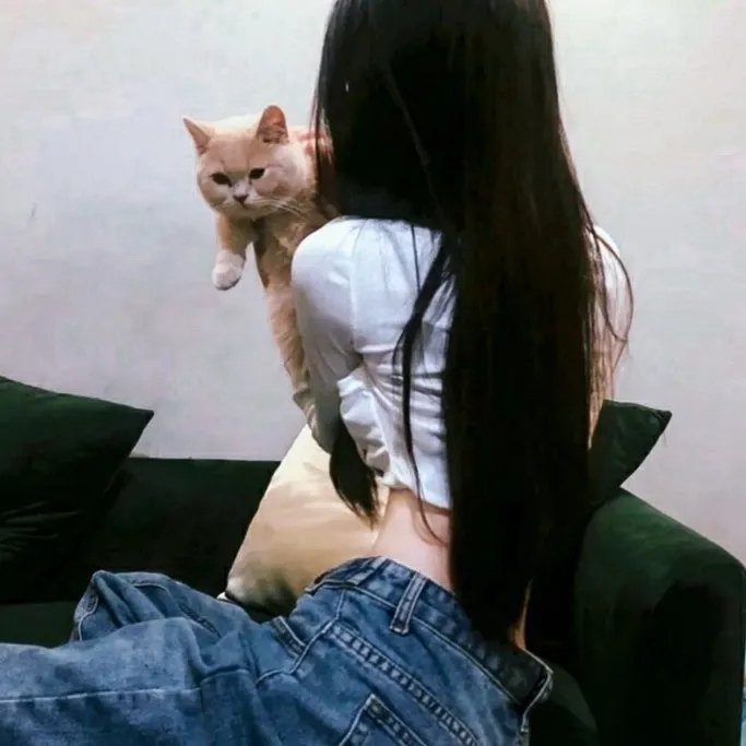 突尼斯的沙发