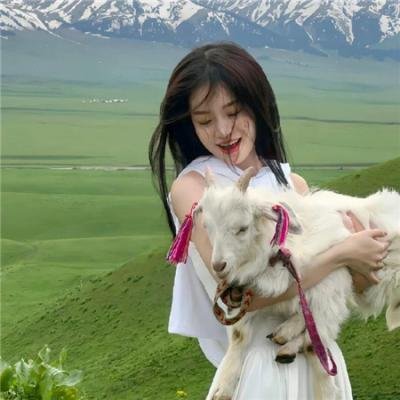 谎话连篇 浪花梦之阵